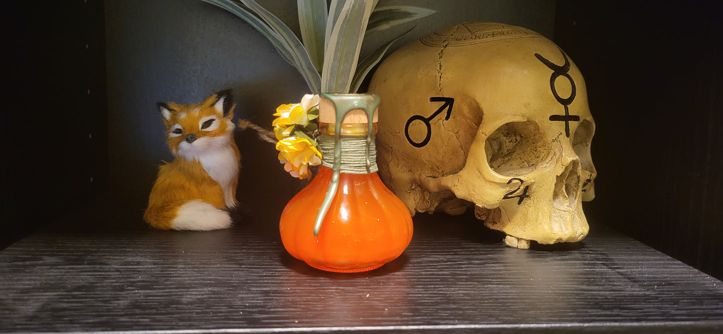 Elixier der Kürbismagie