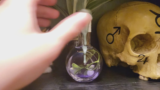 Elixier des Lavendeltraums