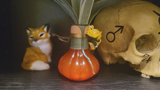 Elixier der Kürbismagie