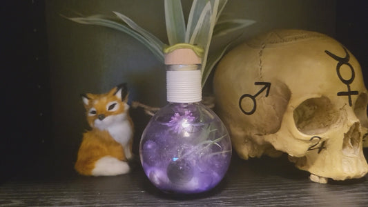 Elixier des Lavendeltraums