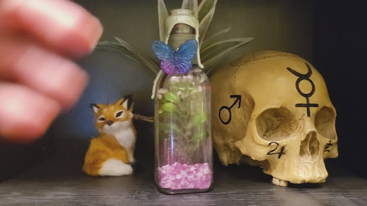 Essenz der schlafenden Nymphe