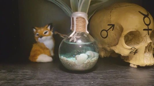 Trank des klaren Ozeans