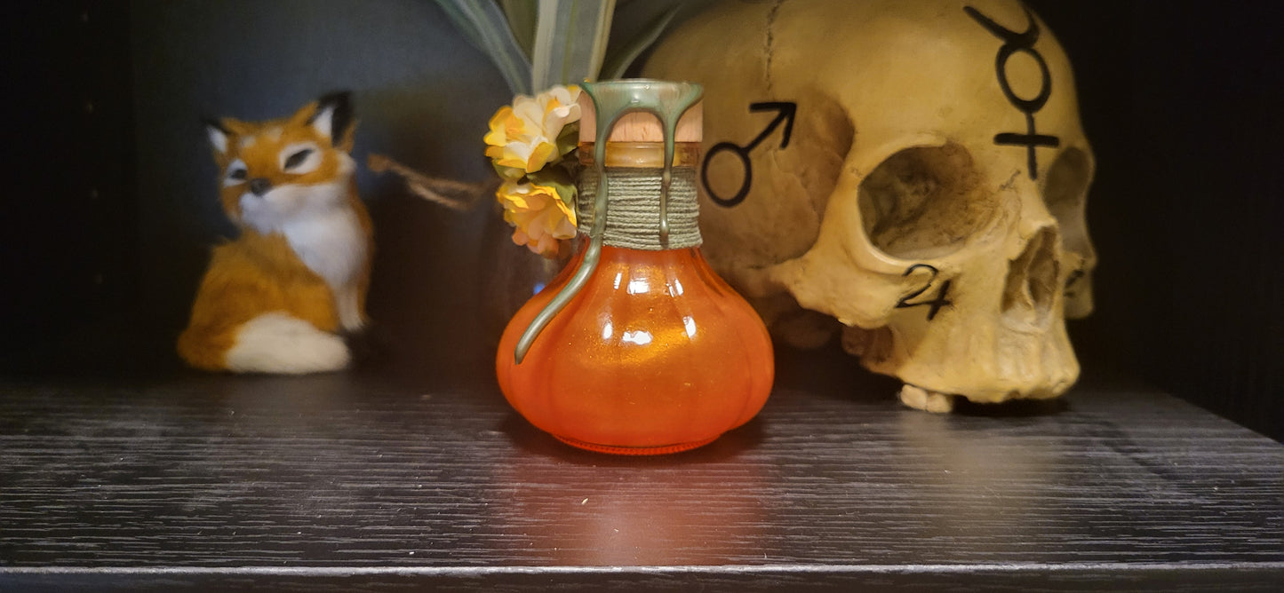 Elixier der Kürbismagie