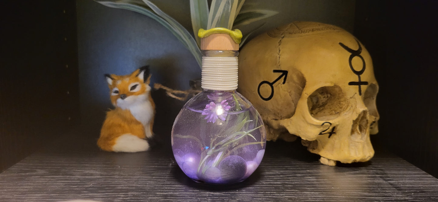 Elixier des Lavendeltraums